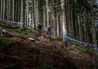 Zwei Mountainbiker:innen fahren mit vollem Fokus ein steiles, wurzeliges Waldstück entlang.  | © Yvonne Hörl